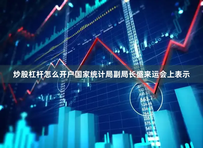 炒股杠杆怎么开户　　国家统计局副局长盛来运会上表示