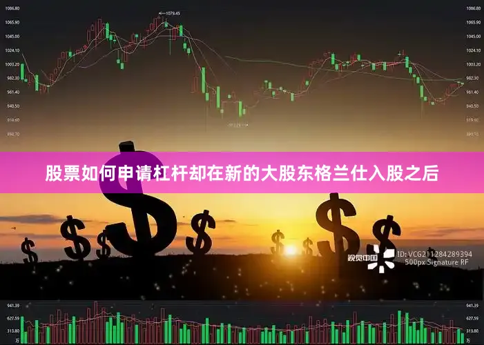 股票如何申请杠杆却在新的大股东格兰仕入股之后